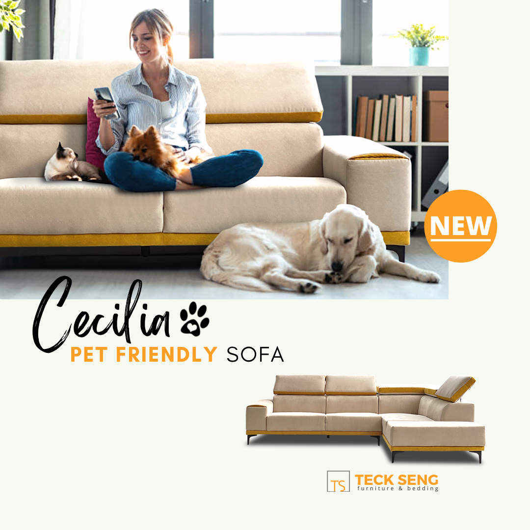 online furniture jb-sg :: shop now :: cecilia