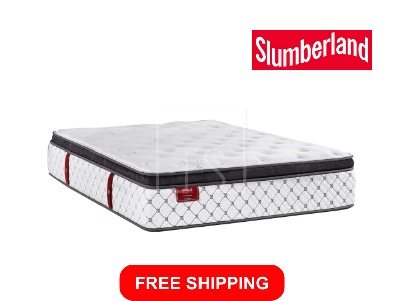 Tempsmart 5.0 Regina II